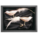 2er Set Vögelchen aus Glas mit 8cm Durchmesser in Champagner matt und weißer Feder in einem schwarzen Naturkarton